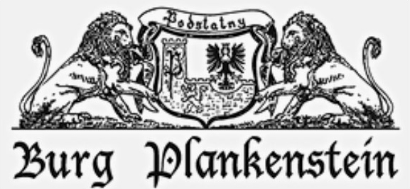 Burg Plankenstein Texing
