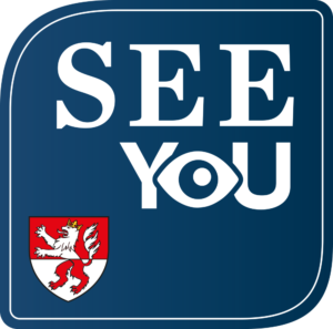 Seebühne SEEyou Neumarkt/Ybbs