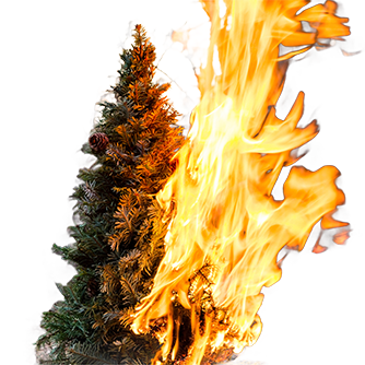 Boom startbild christbam