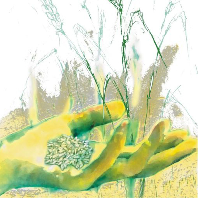 Logo Dinkelparadies mit Hand AKTUELL