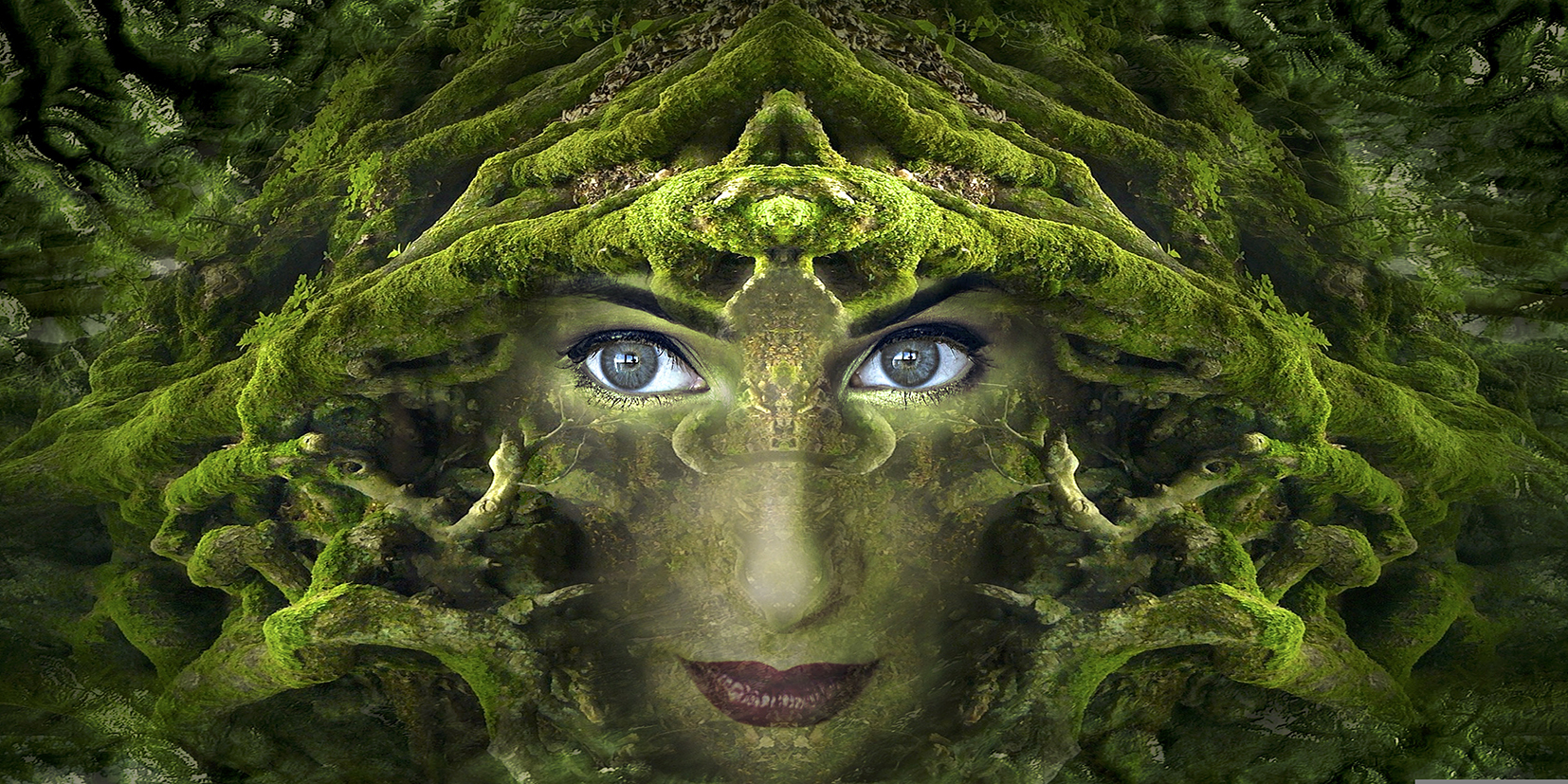 Fantasy 2824500 Aufl hoch