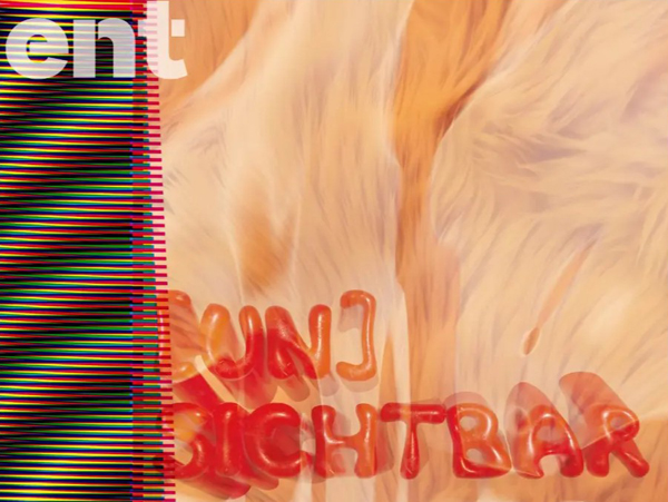 ent Kunst- und Kulturverein Stadt Haag